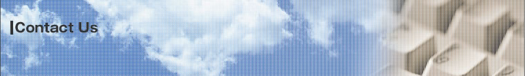 Contact Us